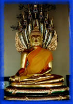 buddha